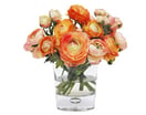 Flowers & Plants Hot Sale From Macy's!