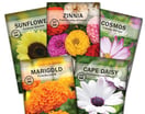 Stunning Selection of Flower Seeds Starting $0.5